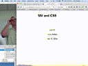 05 Feb 15 SSI and CSS[Video]
